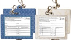 Pretragom podataka sa Amazona, Aleksandra Gulan Habijanac primetila je da postoji veliko zanimanje za futrole za kartone o vakcinama.