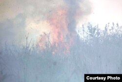 Asap tebal menyelimuti kawasan yang terbakar. (Foto courtesy: Save Our Borneo)