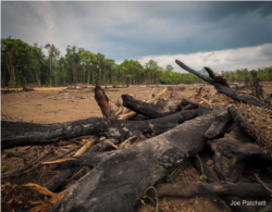 ដីមួយ​កន្លែង​ត្រូវ​បាន​ឈូសឆាយ​សម្រាប់​ធ្វើ​ចម្ការ​ចេក​នៅ​ឧទ្យាន​ជាតិ​ជួរ​ភ្នំក្រវាញ​ភាគ​កណ្ដាល។ សកម្មភាព​រំលោភ​ដីធ្លី និង​ការ​អភិវឌ្ឍ​កសិកម្ម បាន​ធ្វើ​ឱ្យ​មាន​ការ​កើន​ឡើង​នូវ​ការ​បាត់បង់​ព្រៃឈើ​នៅ​ទូទាំង​តំបន់​ជួរ​ភ្នំ​ក្រវាញ ក្នុង​អំឡុងពេល​មាន​វិបត្តិ​ជំងឺ​កូវីដ១៩។