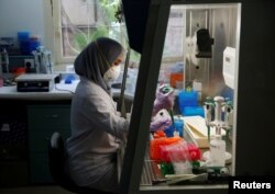 Seorang petugas laboratorium sedang menyiapkan medium untuk menumbuhkan virus di laboratorium Lembaga Biologi Molekuler Eijkman di Jakarta, 31 Agustus 2016. (Foto: Reuters)