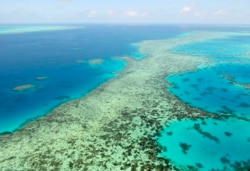 Great Barrier Reef di Australia, 2 Desember 2017. (Kyodo News via AP)