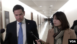 佛罗里达州共和党籍联邦参议员鲁比奥(Sen. Marco Rubio, R-FL)接受美国之音采访。（2019年3月6日）