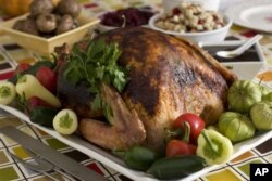 추수감사절 대표 음식인 칠면조 요리