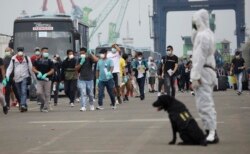 Anak buah kapal pesiar Carnival Splendour asal Indonesia tiba di Tanjung Priok, Jakarta dan bersiap untuk tes Covid-19, 30 April 2020. (Foto: AP)