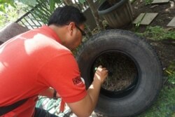 Staf WMP Yogyakarta memantau jentik di salah satu rumah warga kota Yogyakarta. (Foto: Courtesy/WMP Yogyakarta)