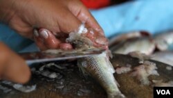 ស្ត្រី​កំពុង​ធ្វើ​ត្រី​ដែលនេសាទ​បាន​ពី​ទន្លេ​មេគង្គ​ ក្នុង​រាជធានី​ភ្នំពេញ នា​រសៀលថ្ងៃ​ទី​២២ ខែ​ឧសភា ឆ្នាំ​២០២១។​ (កាន់ វិច្ឆិកា/វីអូអេ)