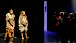 资料照片：游客在法国里昂汇合博物馆观看代表人类和尼安德特人女性的模型并拍照。(2014年12月18日)