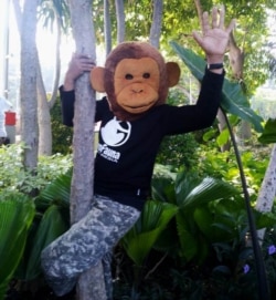 Aktivis Profauna Indonesia memakai topeng primata pada kampanye Hari Primata di Surabaya, Minggu, 26 Januari 2020. (Foto: Profauna)