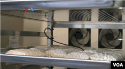 Proses pembuatan tempe “BosTempeh” di kota Somersworth, New Hampshire. (Foto: VOA Indonesia)