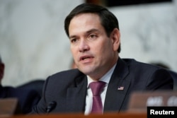 FILE - Senator Marco Rubio questions witnesses before the Senate Intelligence Committee hearing on Capitol Hill in Washington, Jan. 29, 2019.