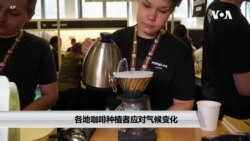 各地咖啡种植者应对气候变化