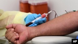 Fakultas Kedokteran Universitas Miami Miller Mayra Fernandez mengambil sampel darah dari peserta studi Julio Li, Rabu, 2 September 2020, di Miami. (Foto: Reuters)