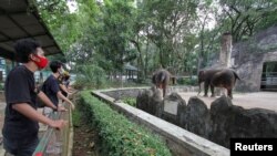 Para pengunjung mengenakan masker sambil mengamati gajah di hari pertama pembukaan kembali Kebun Binatang Ragunan di tengah pandemi virus corona (Covid-19) di Jakarta, 20 Juni 2020. (Foto: Reuters)