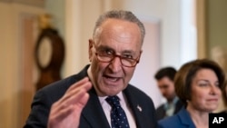 参议院少数党领袖、纽约州民主党议员舒默。