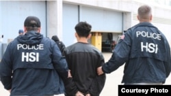 国土安全部的探员逮捕嫌疑人