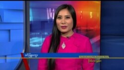 နေ့စဉ် တီဗွီသတင်းလွှာ (၁၁-၁၃-၂၀၁၉)