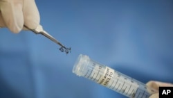 巴西的科研人员把伊蚊装进试管（2016年1月27日）