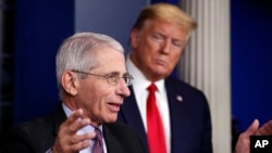 Presiden AS Donald Trump menyimak penjelasan Dr. Anthony Fauci, direktur Lembaga Nasional untuk Alergi dan Penyakit Menular AS, mengenai virus corona dalam konferensi pers di Washington, 22 April 2020.