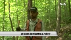 环保组织拯救森林和工作机会