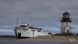 Seasonal Businesses Scramble to Stay Afloat Without Foreign Workers