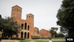 美国加州大学洛杉矶分校校园一角。（资料照）