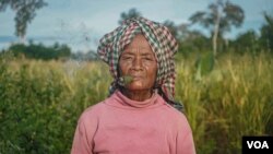 អ្នកស្រី​ វិញ ចេញ​ ៦១ឆ្នាំ​ ជា​ជនជាតិដើមភាគ​តិចកាវ៉ែត​ រស់នៅ​ក្នុង​ភូមិ​អូរចាយ។ អ្នកស្រី​ជក់ថ្នាំ​ជក់​រុំស្លឹក​ជារៀងរាល់​ព្រឹក​មុន​ចាប់ផ្តើម​ធ្វើចំការ នៅ​ឃុំ​សន្តិភាព​ ស្រុកសៀមប៉ាង​ ខេត្ត​ស្ទឹងត្រែង​ នៅ​ថ្ងៃ​ទី៩ ខែ​វិច្ឆិកា​ ឆ្នាំ២០២១។ (ខាន់​ សុគុំមនោ/VOA