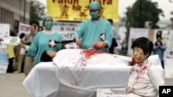 资料照片：一名法轮功学员2006年6月15日在欧洲委员会前抗议他们所说的中国摘除法轮功学员器官的犯罪行为。 