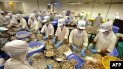 Công nhân Việt Nam làm việc trong xí nghiệp tôm xuất khẩu