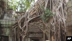 Elena Pucillo Truong