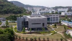 An aerial view shows the P4 laboratory at the Wuhan Institute of Virology in Wuhan in China's central Hubei province, April 17, 2020.
