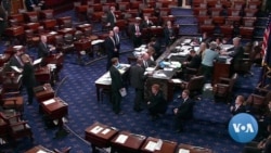 US Senate Scrutinizes Saudi, UAE Arms Sales US Senate Scrutinizes Saudi, UAE Arms Sales