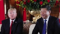 年终报道：川习第一年，交手也交心