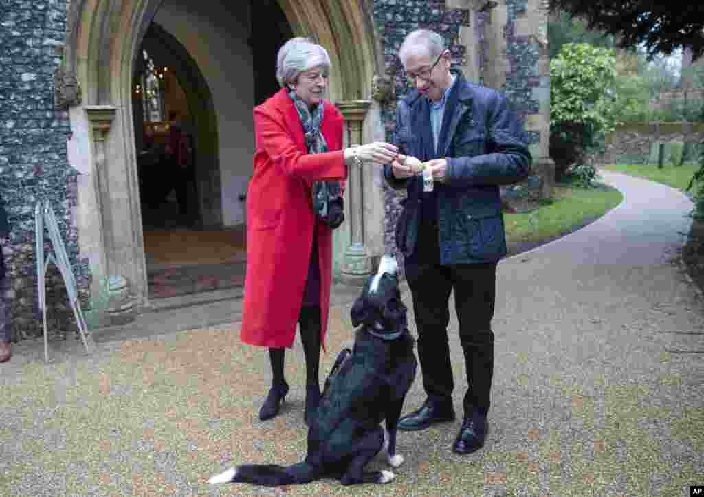 2018年12月27日,英国首相特蕾莎·梅参加传统的圣诞节晨祷,给边境牧羊犬(Border Collie)一根骨头啃。