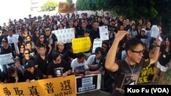 海外华人声援香港第二波 