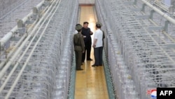 2024년 9월 13일 북한 관영 '조선중앙통신'은 김정은 국무위원장이 핵무기연구소와 무기급 핵 물질 생산시설을 현지 지도하고 무기급 핵 물질 생산을 늘리기 위한 중요 과업을 제시했다며 날짜 미상의 사진을 공개했다.