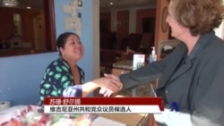 美国中期选举：美国式拜票