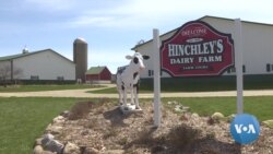 VOA英语视频: 为什么食品供应紧张 而农民生产繁忙如常