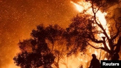 Wutar dajin Kalifoniya dinnan mai lakabin "Thomas."