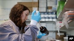 Phòng thí nghiệm nghiên cứu về kháng thể COVId-19 tại Đại học Hoàng gia London.