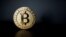 FILE PHOTO: A bitcoin is seen in an illustration picture taken at La Maison du Bitcoin in Paris
