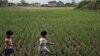 Dua orang anak melintasi sawah di kawasan Rancasari, Bandung, sementara apartemen nampak di kejauhan. Jawa Barat dinilai memiliki potensi yang besar sehingga jadi tujuan investasi. (Foto: Rio Tuasikal/VOA)