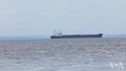 Mbano ya botongi libongo na mayi mozindo likolo lya parc marrain ya mangrove na Banana