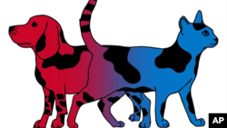 Ilustracija: Pas i mačka u bojama republikanaca i demokrata.