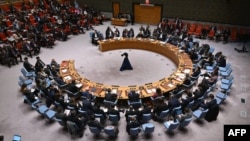 ARHIVA - Zasednje Saveta bezbednosti Ujedinjenih nacija (Foto: AFP/Angela Weiss)