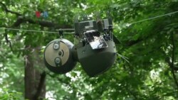 Susah Nggak Ya: Mengamati Tanaman dengan Robot Kungkang