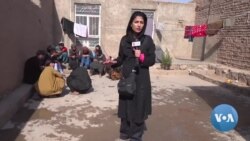 Afghans Sell Kidneys to Feed Children