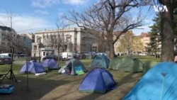 Koji su naredni koraci ekoloških "kampera" ispred Predsedništva?