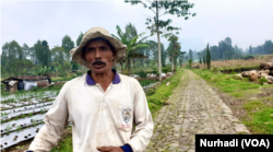 Sholeh, petani di Kledung, Jawa Tengah. (Foto: VOA/Nurhadi)