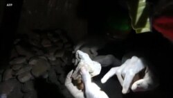 Mine ya Luhihi (Sud-Kivu): esika wolo mpe bobola evandaka