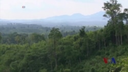 联合国项目帮助保护树木并创造就业